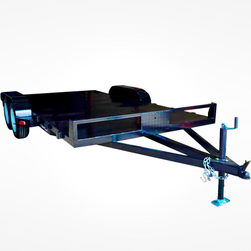 Modelo Cargo 2000 Plus